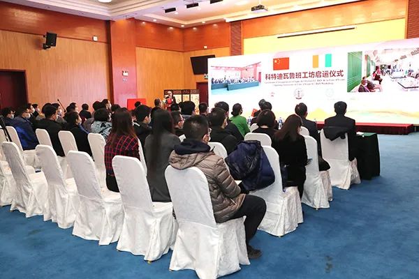 天津理工大學參建的科特迪瓦魯班工坊揭牌