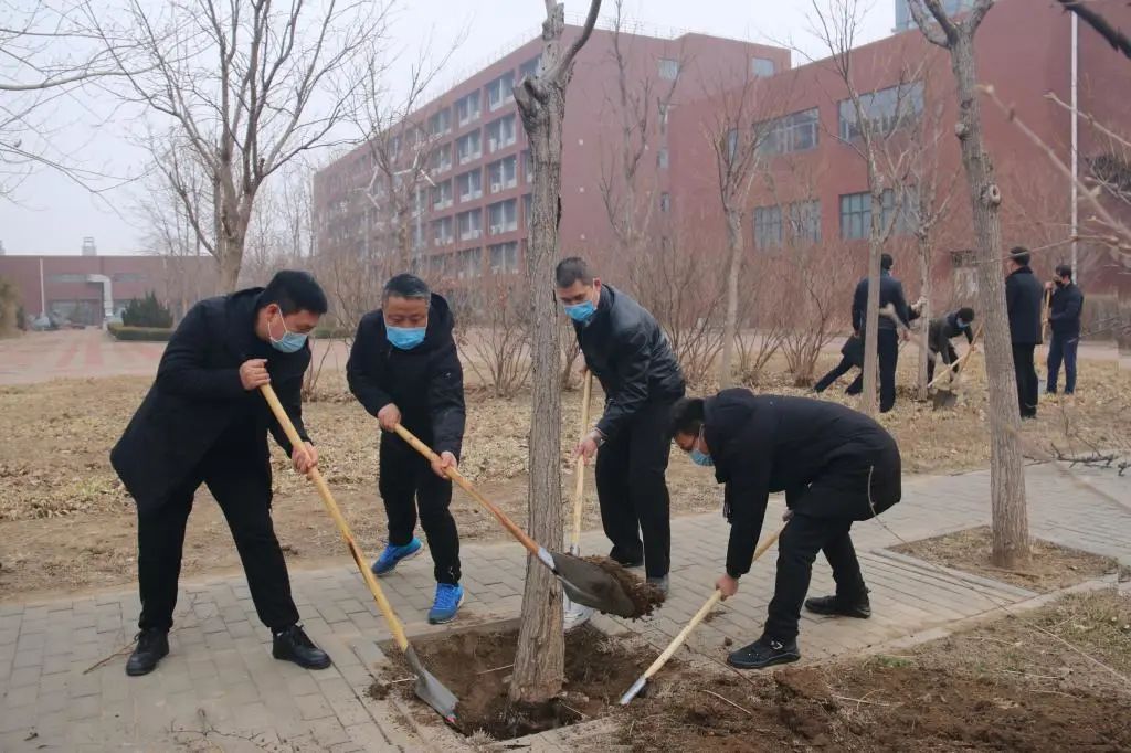 后勤黨委組織黨員開展“去病樹、治樹病”主題黨日活動
