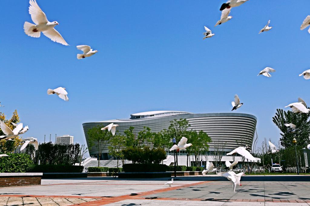 官宣！學校新增“會計學”“光電信息材料與器件” 兩個本科專業